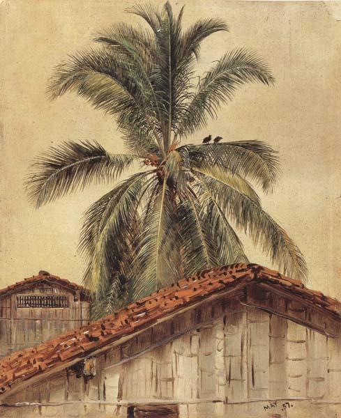 Frederic E.Church Palm Tres and Housetops,Ecuador